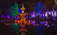 Botanic D'Lights festival 2016<br />Photo: Tim Prickett
