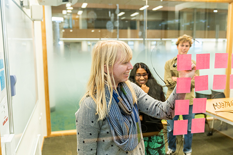 Students doinmg a card sorting exercise with pink post-it notes