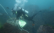 A diver collecting samples near a volcanic vent thumbnail