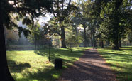 Dog and man enjoy Hagley Park in Autumn (April 2017)<br />Photo: Philip Pattemore