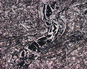 Microscopic view of a vein (1 mm wide) with graphite (black) and quartz (white) cuts across sheared greywacke in the broken formation fault slice at Fiddlers Flat.