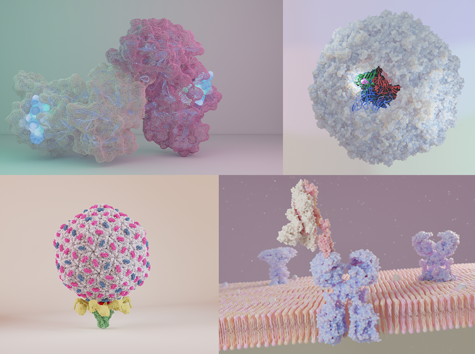 Alice Eruera research viruses image