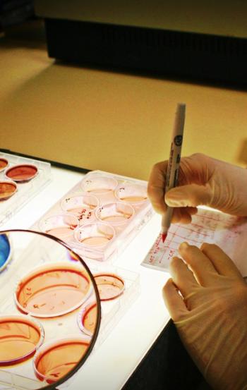 A photo of a pair of gloved hands writing notes on a piece of paper, resting on lab desk of samples