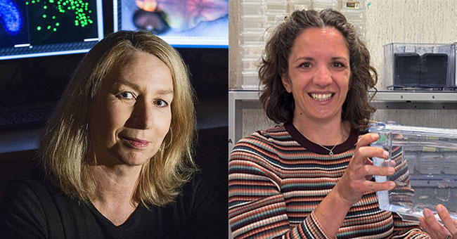 A composite image of Professor Julia Horsfield and Dr Megan Leask.