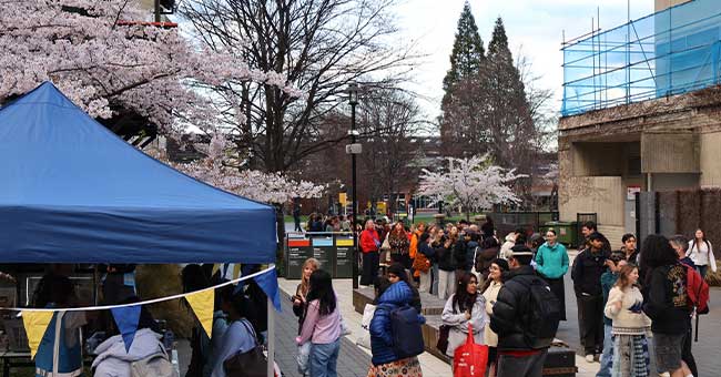 a market with blue and yellow bunting, blossom trees in the background and people milling around