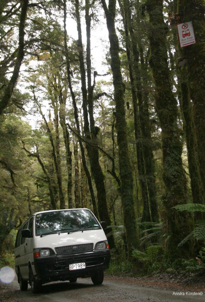 bus_stop_forest