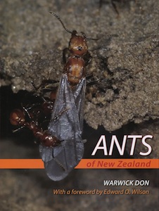 Don Ants of NZ cover image