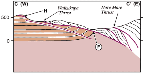 Waikukupa cross section c