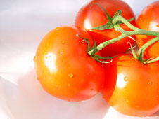 tomato-small-image