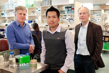 Philip Hill Htin Lin Aung Greg Cook image