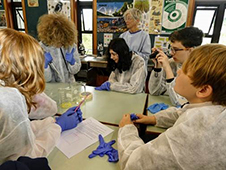 Biotechnology and Genetics experiments at Wellington High School, with Dr Sara Filoche