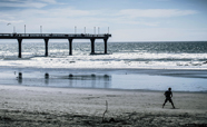 Nothing beats being down by the pier on a nice sunny day. (2016)<br />Photo: Simran Maggo