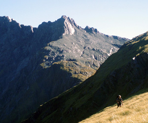 Fieldwork in the Fish River valley, Southern Alps. Haast Schist can be seen in the background. The schist in this area is intruded by lamprophyre dikes carrying peridotite (mantle) xenoliths.