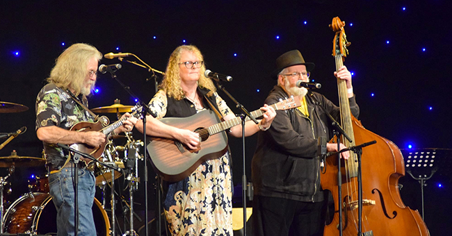 Maplewood String Band - Gold Guitars performance 2021 thumbnail