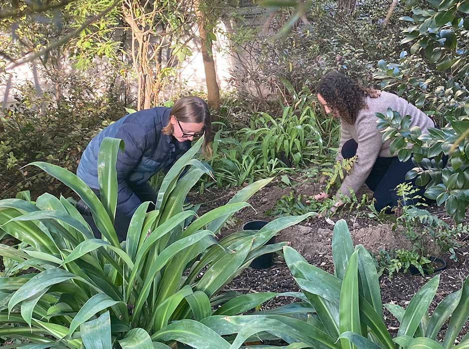 two women crouched down working in a garden bed