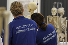 AnatomyDemonstrators
