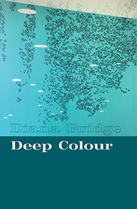 Bridge Deep Colour website