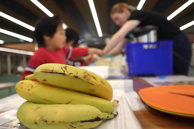 Sci expo bananas_650