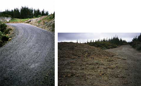 Puhipuhi road gravel that releases acid and metals 1