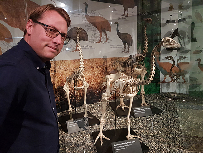 Paul Gardener and Moa skeletons at Otago Museum