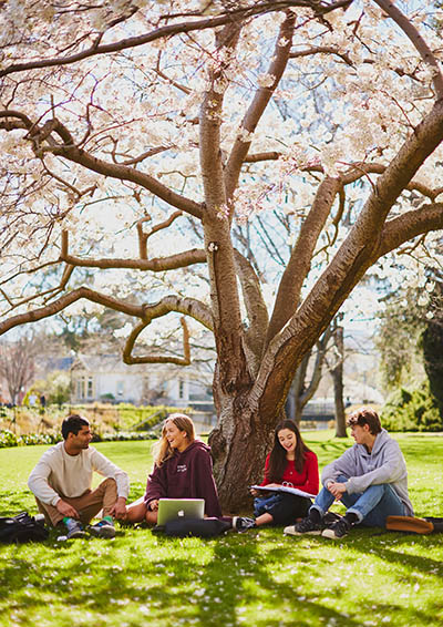 Students with laptops sitting under tree