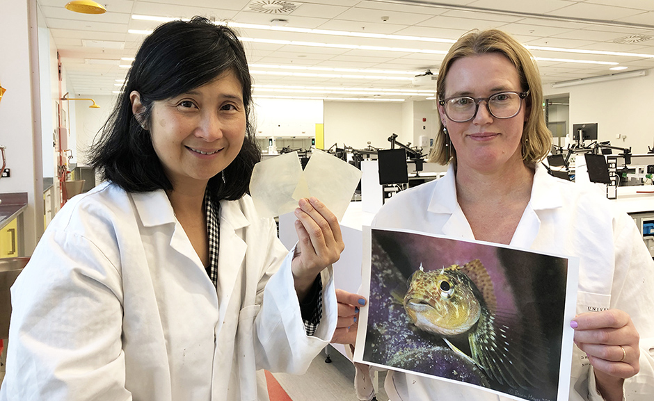 Indrawati Oey holding biodegradable plastic and Bridie Allan with printout of mottled triplefin.