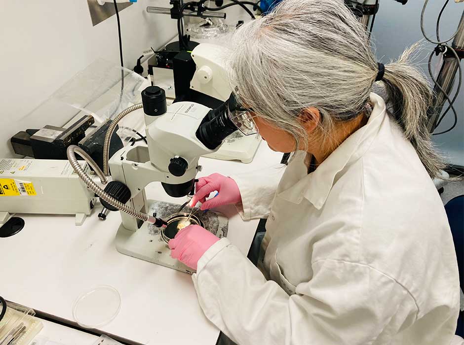 A woman working in a lab