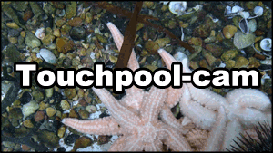 Touchpool-cam