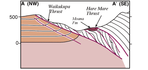 Waikukupa cross section a