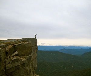 Quartzose sandstone of the Brunner Coal Measures, edge of the Denniston Plateau, Buller.