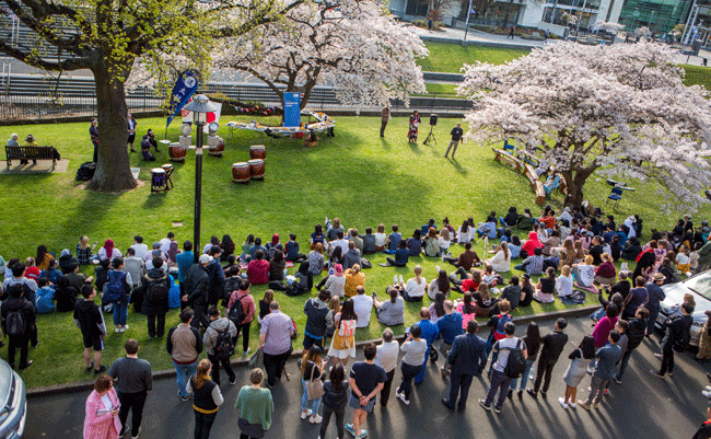 hanami-from-above-image
