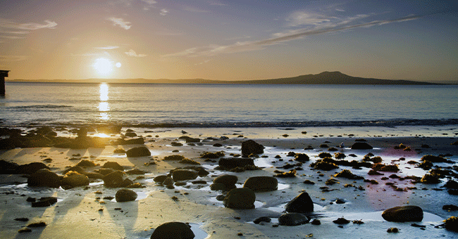 new zealand coast