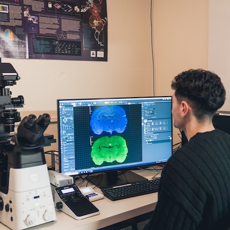 Microscope user views two fluorescent samples on a screen.