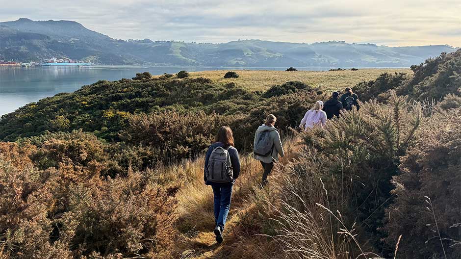 Three woman walking away along a path on the peninsular, there is gorse and tussock, the harbour is calm