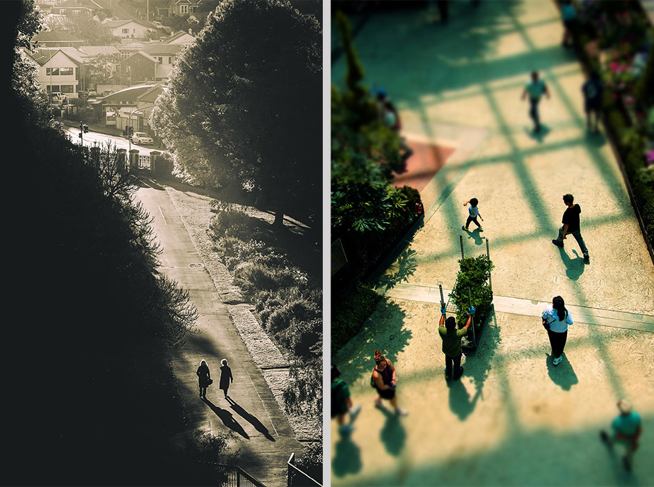 collage of two winning shots from the 2026 bulletin photo competition