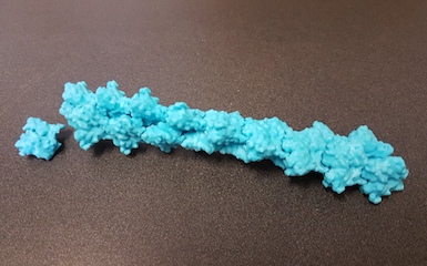 actin_polymer_385