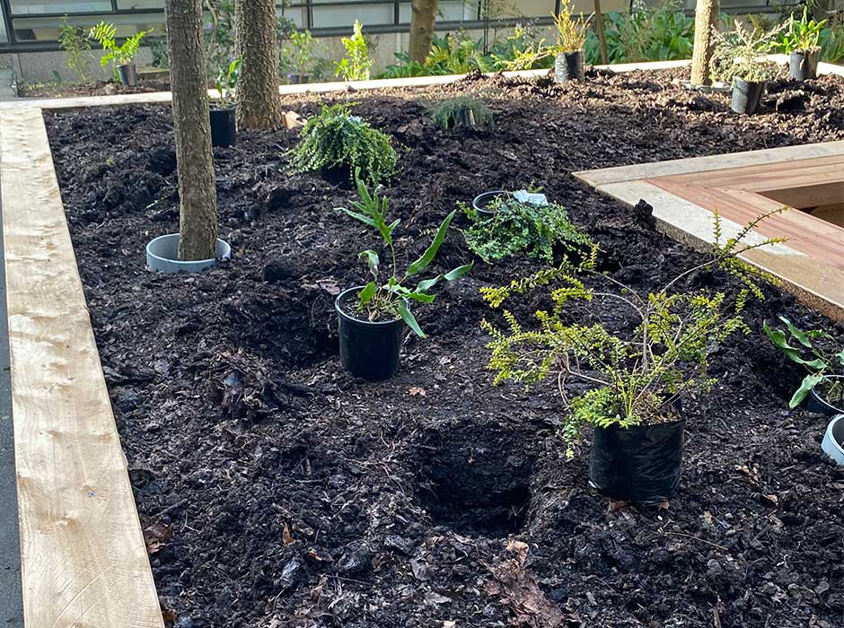 about eight plants in pots waiting to be planted 