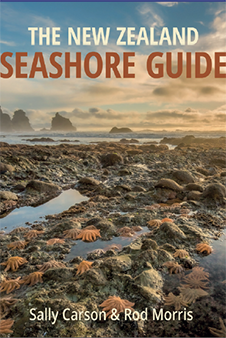NZ Seashore Guide book cover