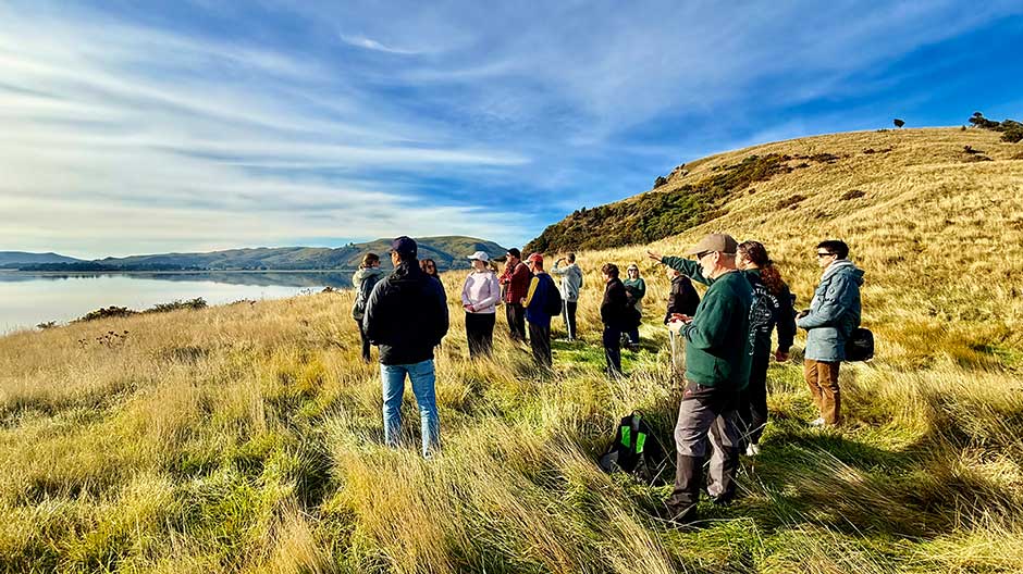 a crowd of people standing in sun lit tussocked hill, blue skied, looking out along a calm harbour