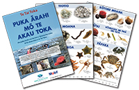 Shore guides in a pile image.