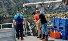 Researchers on a vessel in Fiordland extracting a marine sediment sample