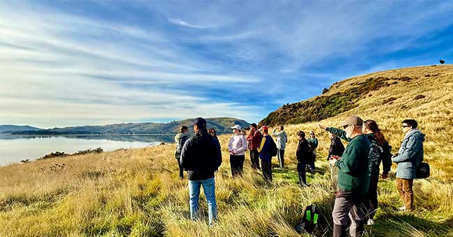 a crowd of people standing in sun lit tussocked hill, blue skied, looking out along a calm harbour