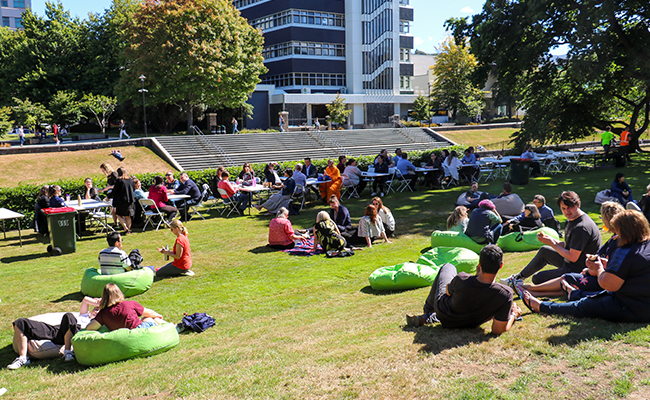 picnic image