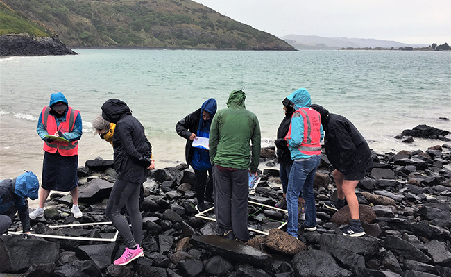 Teachers on a field trip to Otago Peninsula, January 2021