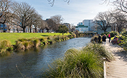 The Avon River near the University of Otago, Christchurch campus