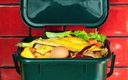 picture of rubbish bin with food waste