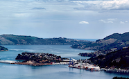 Otago harbour channel thumbnail