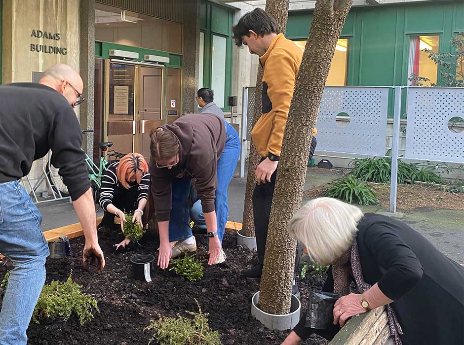 people bent at the waist working on a garden bed
