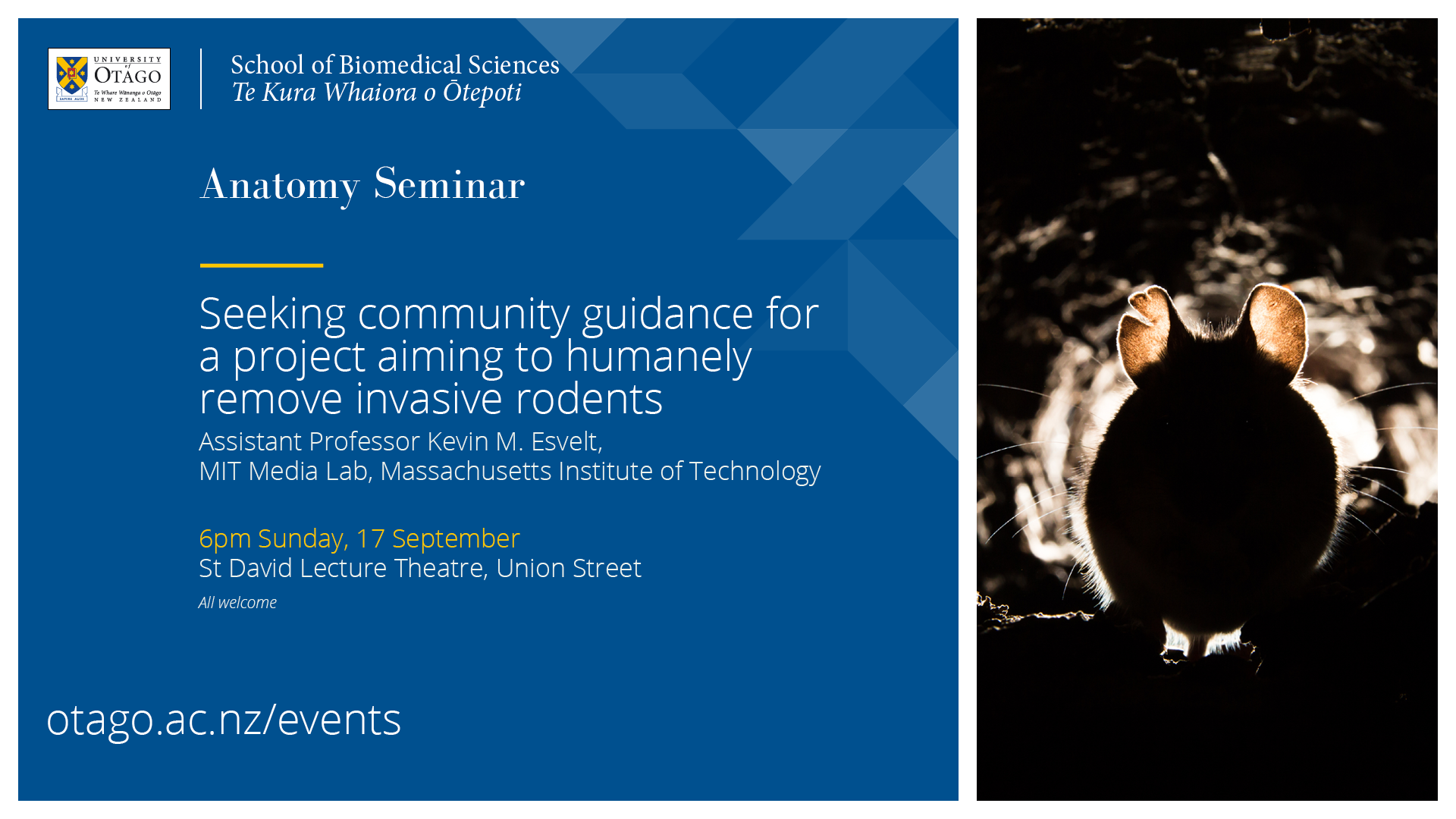 anatomy seminar info