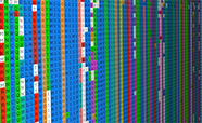 Picture of a protein sequence alignment on a computer screen.